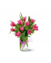 Spring Tulips - Hot Pink